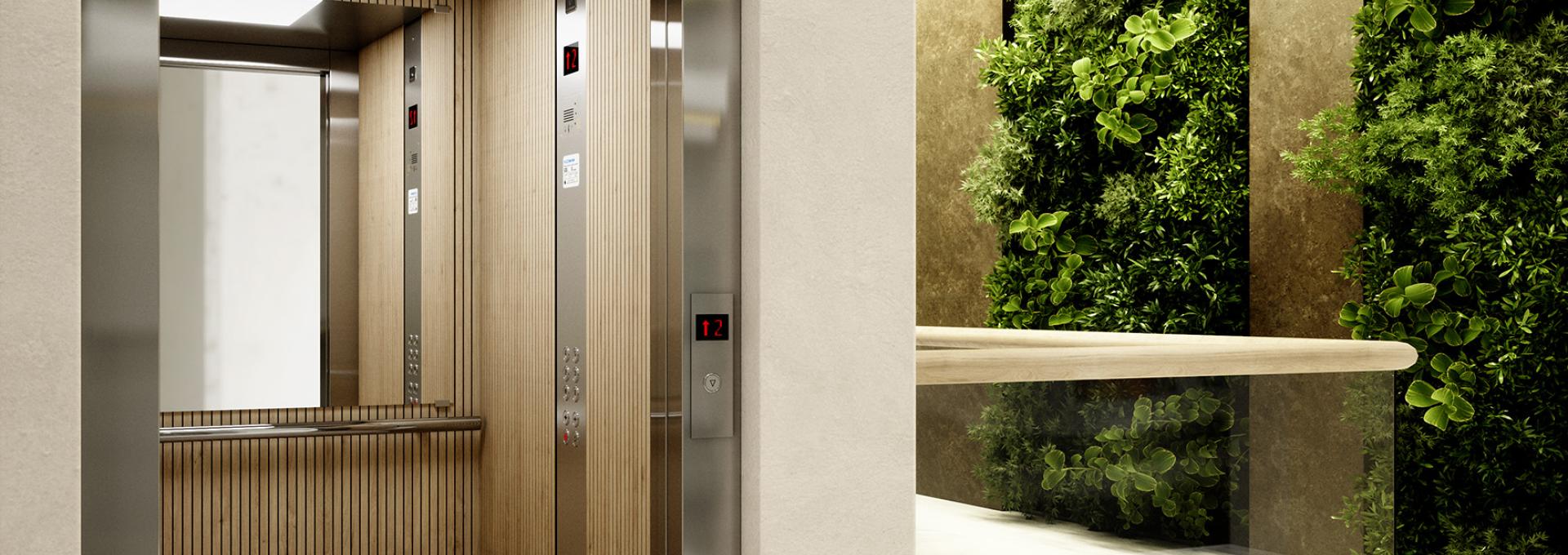 Asansör Yolcu Asansörleri