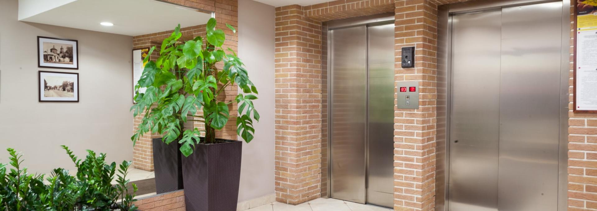 Asansör Yolcu Asansörleri